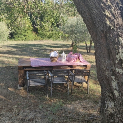Picnic