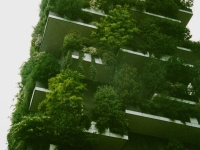 Foto vertical del bosque por Polina Chistyakova de Pexels