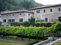 Toscana - Viticoltura - Foto di Ove123 da Pixabay 