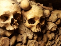 Crânes de Paris dans les catacombes - Photos d'Ann B. de Pixabay