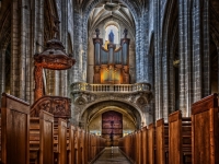 Cathédrale Notre-Dame de Paris - Image de Peter H de Pixabay