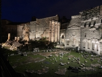 Palatino Roma - foto MCD