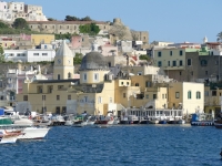 Procida - Foto di falco da Pixabay 