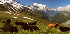 I borghi più belli della Valle D' Aosta
